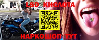 ПСИЛОЦИБИНОВЫЕ ГРИБЫ Дубна