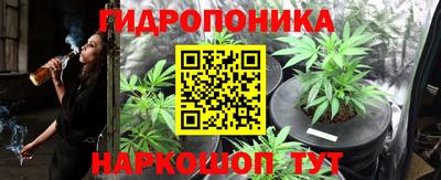 ПСИЛОЦИБИНОВЫЕ ГРИБЫ Дубна