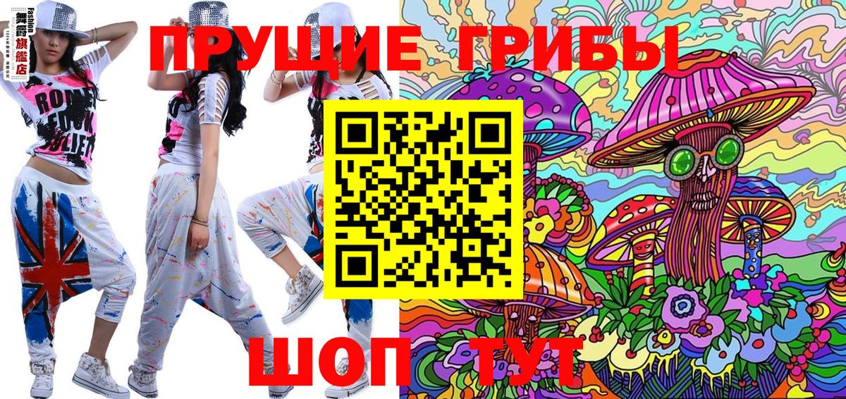 Медногорск  Галлюциногенные грибы Psilocybine cubensis  Вход с VPN 